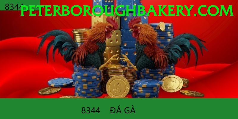 Đá Gà Trực Tiếp - Trải nghiệm tuyệt vời