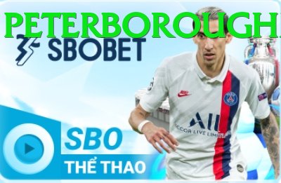 Cá Cược Thể Thao - zetbet